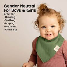 Load image into Gallery viewer, 10-Pack Organic Bandana Bibs (Brave)
