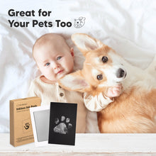Load image into Gallery viewer, 2-Pack Inkless Ink Pads (Silver)