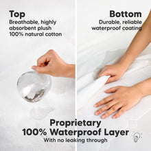 Load image into Gallery viewer, 2-Pack Quin Protect+ Waterproof Crib Mattress Protector