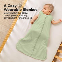 Load image into Gallery viewer, 2-Pack Snooze Sleep Sacks (Roarsome)