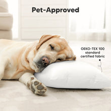 Load image into Gallery viewer, 2-Pack Toddler Pillows Without Pillowcase (City Cars)