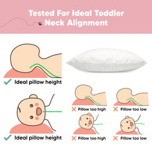 Load image into Gallery viewer, 2-Pack Toddler Pillows Without Pillowcase (Nibbles/Bruce)