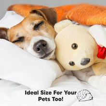 Load image into Gallery viewer, 2-Pack Toddler Pillows Without Pillowcase (Nibbles/Bruce)