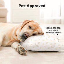 Load image into Gallery viewer, 2-Pack Toddler Pillows Without Pillowcase (Pine Tree)