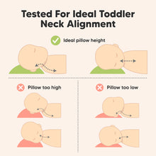 Load image into Gallery viewer, 2-Pack Toddler Pillows Without Pillowcase (Planes)