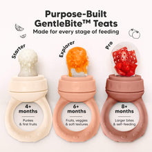 Load image into Gallery viewer, 2-Pack Lil’Prep Baby Feeders (Roseate)