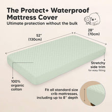 Load image into Gallery viewer, 2-Pack Quin Protect+ Waterproof Crib Mattress Protector (Aloe)