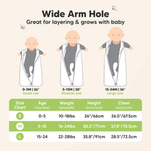 Load image into Gallery viewer, 2-Pack Snooze Sleep Sacks (ABC Land Sky)