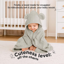 Load image into Gallery viewer, 2-Pack Snuggle Hooded Towels (Graphite)