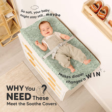Load image into Gallery viewer, 2-Pack Soothe Changing Pad Covers (DinoDood)