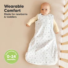 Load image into Gallery viewer, 2-Pack Soothe Sleep Sacks