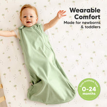 Load image into Gallery viewer, 2-Pack Soothe Sleep Sacks (Roarsome)