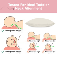 Load image into Gallery viewer, 2-Pack Toddler Pillows Without Pillowcase (Clay)