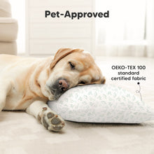 Load image into Gallery viewer, 2-Pack Toddler Pillows Without Pillowcase (DinoLand)