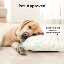 Load image into Gallery viewer, 2-Pack Toddler Pillows Without Pillowcase (Herb)