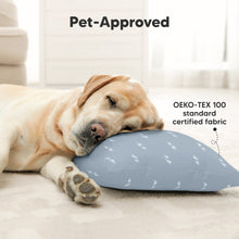 Load image into Gallery viewer, 2-Pack Toddler Pillows Without Pillowcase (Roadsters)