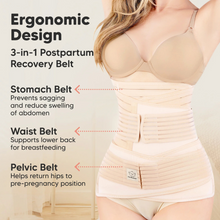 Load image into Gallery viewer, Ergonomic Design: 3-in-1 Postpartum Recovery Belt, Stomach belt prevents sagging & reduces swelling of abdomen, Waist belt supports lower back for breastfeeding, Pelvic belt helps return hips to pre-pregnancy position