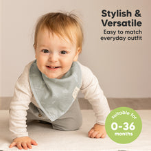 Load image into Gallery viewer, 8-Pack Organic Bandana Bibs (Nordic)
