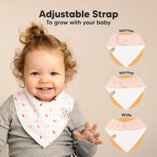 Load image into Gallery viewer, 8-Pack Organic Bandana Bibs (Prism)