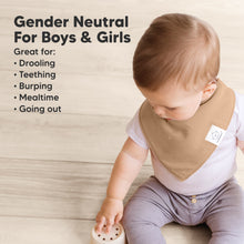 Load image into Gallery viewer, 8-Pack Organic Bandana Bibs (Roarsome)