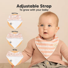 Load image into Gallery viewer, 8-Pack Organic Bandana Bibs (Sweet Charm)