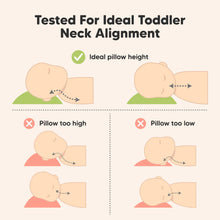 Load image into Gallery viewer, Buddy Toddler Pillow (KeaSafari)