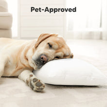 Load image into Gallery viewer, Buddy Toddler Pillow (Soft White)