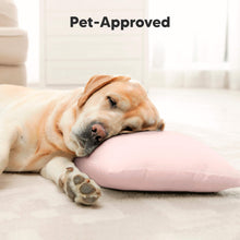 Load image into Gallery viewer, Cuddly Toddler Pillow with Pillowcase (Mist Pink)