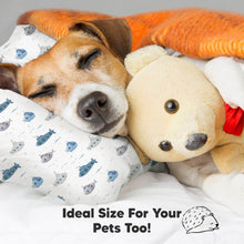 Load image into Gallery viewer, Jumbo Toddler Pillow with Pillowcase (Submarines)