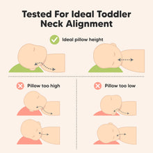 Load image into Gallery viewer, Jumbo Toddler Pillow with Pillowcase (Clay)