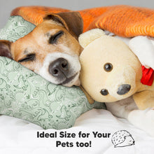 Load image into Gallery viewer, Jumbo Toddler Pillow with Pillowcase (DinoDood)