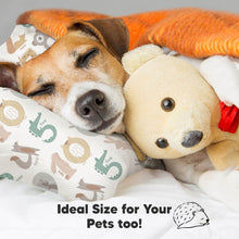 Load image into Gallery viewer, Jumbo Toddler Pillow with Pillowcase (Wild Count)