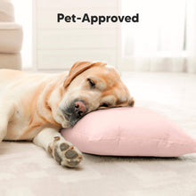 Load image into Gallery viewer, Jumbo Toddler Pillow with Pillowcase (Mist Pink)