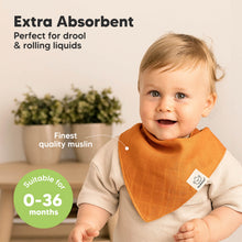 Load image into Gallery viewer, 8-Pack Lumi Muslin Bandana Bibs