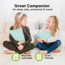 Load image into Gallery viewer, Mini Toddler Pillow With Pillowcase (Polar)