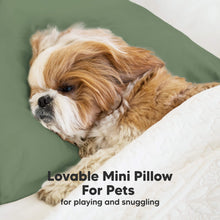 Load image into Gallery viewer, Mini Toddler Pillow With Pillowcase (Jungle Green)