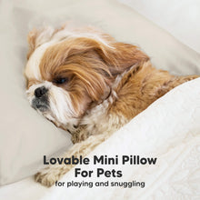 Load image into Gallery viewer, Mini Toddler Pillow With Pillowcase (Clay)