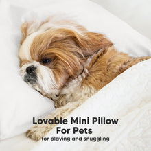 Load image into Gallery viewer, Mini Toddler Pillow With Pillowcase (Soft White)
