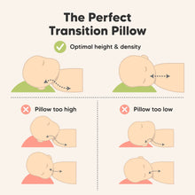 Load image into Gallery viewer, Cuddly Toddler Pillow with Pillowcase (Meadow)