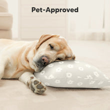 Load image into Gallery viewer, Cuddly Toddler Pillow with Pillowcase (Meadow)