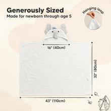Load image into Gallery viewer, PlayPals Hooded Towel (Ethan)