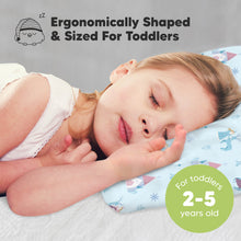 Load image into Gallery viewer, Toddler Pillow with Pillowcase (Enchanted Frost)