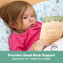 Load image into Gallery viewer, Toddler Pillow with Pillowcase (Enchanted Frost)