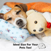 Load image into Gallery viewer, Toddler Pillow with Pillowcase (Enchanted Frost)