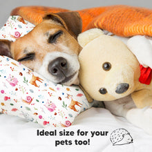 Load image into Gallery viewer, Toddler Pillow with Pillowcase (Forestland)