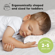 Load image into Gallery viewer, Toddler Pillow with Pillowcase (ABC Land)