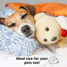 Load image into Gallery viewer, Toddler Pillow with Pillowcase (Nautical)