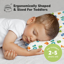 Load image into Gallery viewer, Toddler Pillow with Pillowcase (Dino123)