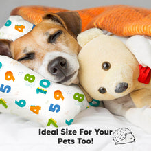 Load image into Gallery viewer, Toddler Pillow with Pillowcase (Dino123)