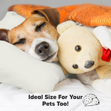 Load image into Gallery viewer, Toddler Pillow with Pillowcase (Pearl Gray)